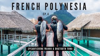 Spearfishing French Polynesia | Wahoo & Dogtooth Tuna | Polespearing Crystal Clear Reefs