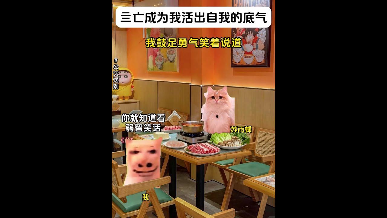 当死亡成为我活出自我的底气时大合集 #猫meme小故事 #猫meme #猫meme小剧场 #猫meme故事