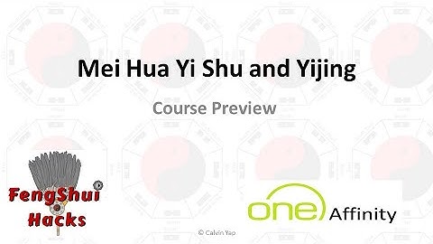 08  Mei Hua Yi Shu and Yijing Divination