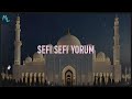 Cok Guzel Sefi Sefi Yorum TikTok Arabic Viral 