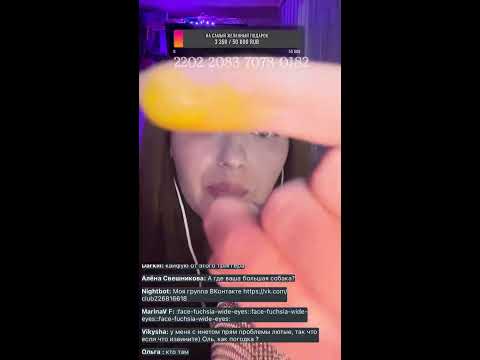 Stream asmr 💕 Safari asmr
