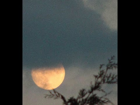 [FREE] Mick Jenkins x Isaiah Rashad Type Beat 2021 - Outta Nowhere