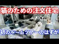 猫のための注文住宅。猫への恩返し。そんなお家のルームツアー