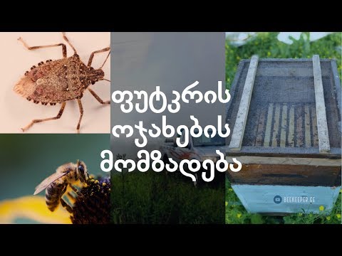 როგორ დავიცვათ ფუტკარი ფაროსანას წინააღმდეგ წამლობისას