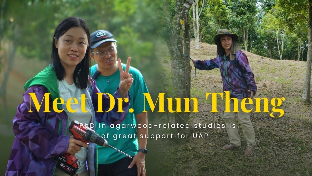 Meet Dr. Mun Theng, she is an agarwood PhD on staff at United Agarwood Planters, Inc.
