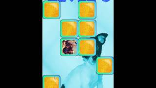 Memory Dogs for Kids (Android Game) screenshot 1