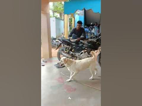 #shorts Deeju playing with Frd - YouTube