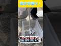 ついに！防水塗装開始！🚀