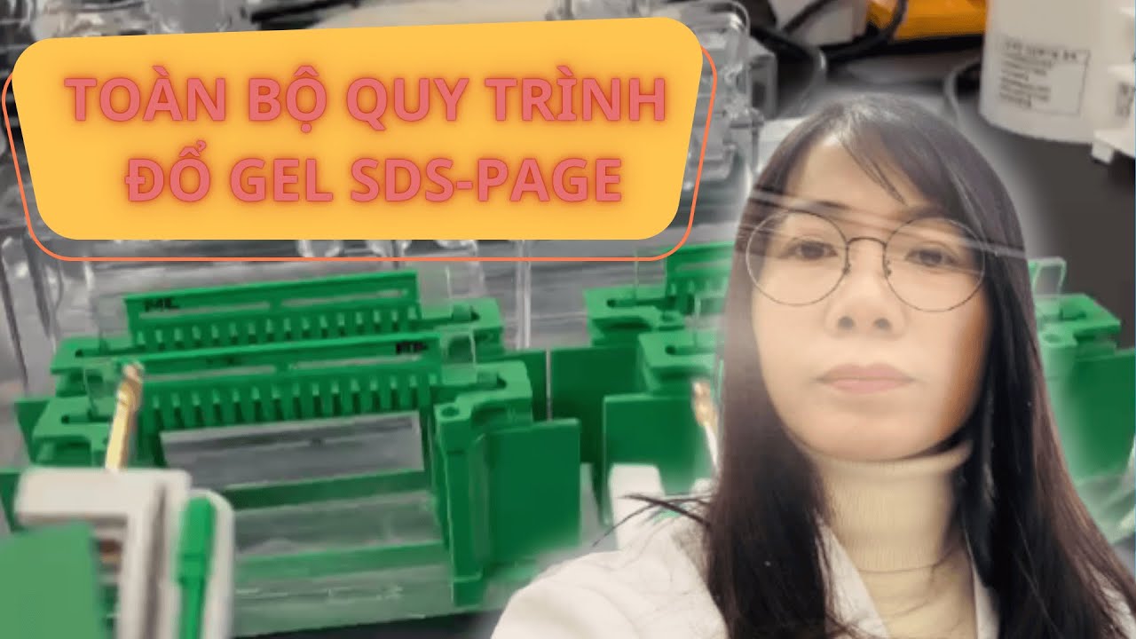 CÁCH ĐỔ GEL SDS-PAGE ĐIỆN DI PROTEIN