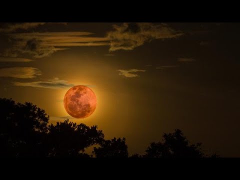 Video: La Luna Di Sangue Più Lunga Del Secolo Ad Apparire A Luglio