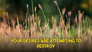 Uncover the Deepest Secret Behind Your Desires