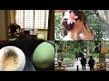 🍵 야쿠자 지망생 교토 여행 브이로그 🍵