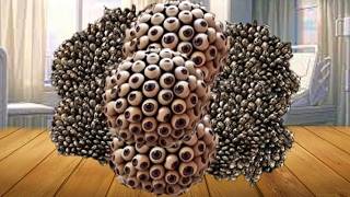 Asmr Pampering And Spa Animation - Relaxing Sound For Sleep