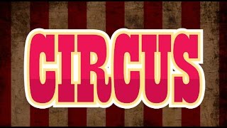 Noapoll 8 - Circus