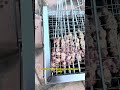 We are a barbecue grill manufacturer and are looking for wholesalers worldwide.#Blazefor #wholesale