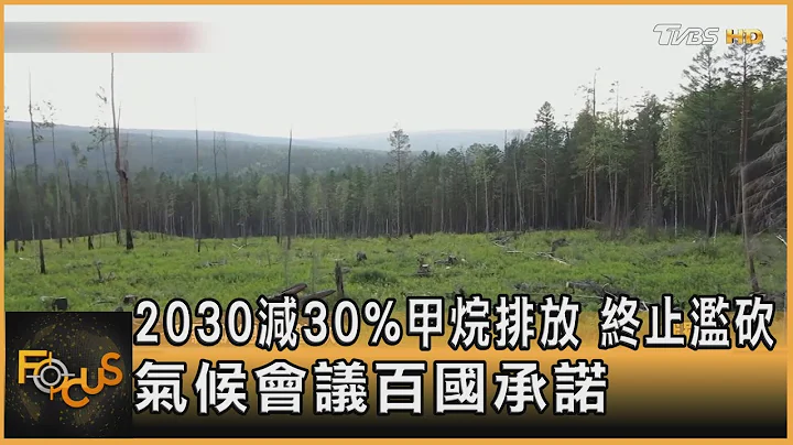 2030减30%甲烷排放 终止滥砍 气候会议百国承诺｜秦绫谦｜FOCUS全球新闻 20211103 - 天天要闻