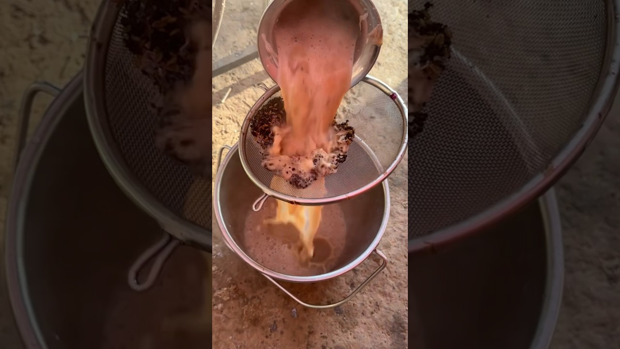 Chai langar seva😇❤️🙏 | 