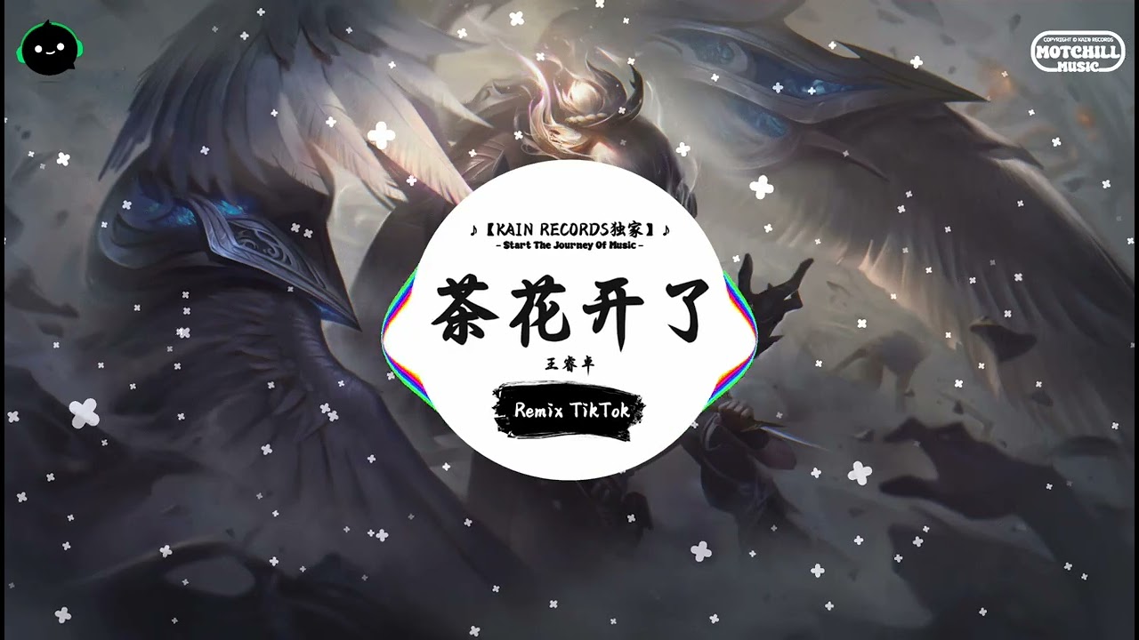 茶花开了 (抖音DJ版) - 王睿卓『那是一座座山连着山的小村庄，那有一群群孩天天念想着远方。』♪ || 抖音好听洗脑的BGM | 抖音熱門 | 抖音 | TikTok ♪