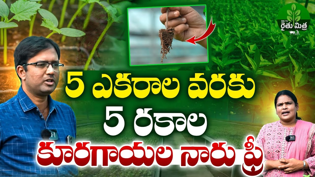 Vegetable Seedlings For Free Of Cost  | ఉచితంగా కూరగాయల నారు..ఎక్కడంటే | Center Of Excellence Mulugu