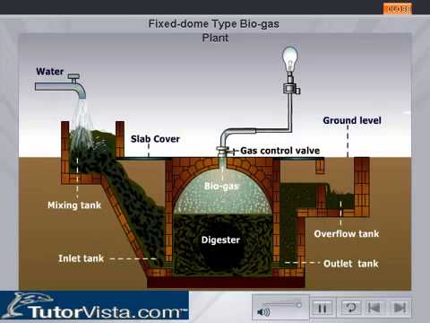 Khí sinh học biogas | Nhà máy biogas – khí sinh học