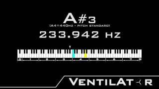 A#3 / 233.082hz @A440hz Tone For Instrument Tuning