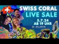 💦 Swiss Coral Live Sale 💦 Live von ATLANTIS Meerwasseraquaristik am 5.7.24 ab 19 Uhr💦🇨🇭