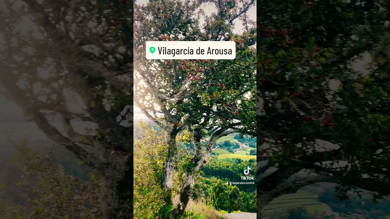 🔥🔥MIRADOR 360 grados en #galicia 💙🤍#mirador #vistas #oceanoatlantico #arosa #verano2023 #viral