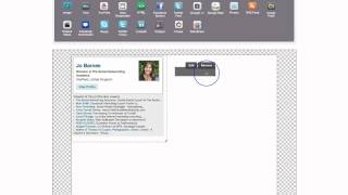 LinkedIn Widgets