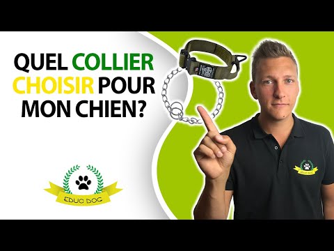 Vidéo: Comment Choisir Un Collier Pour Chien