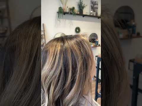 lived in brunette