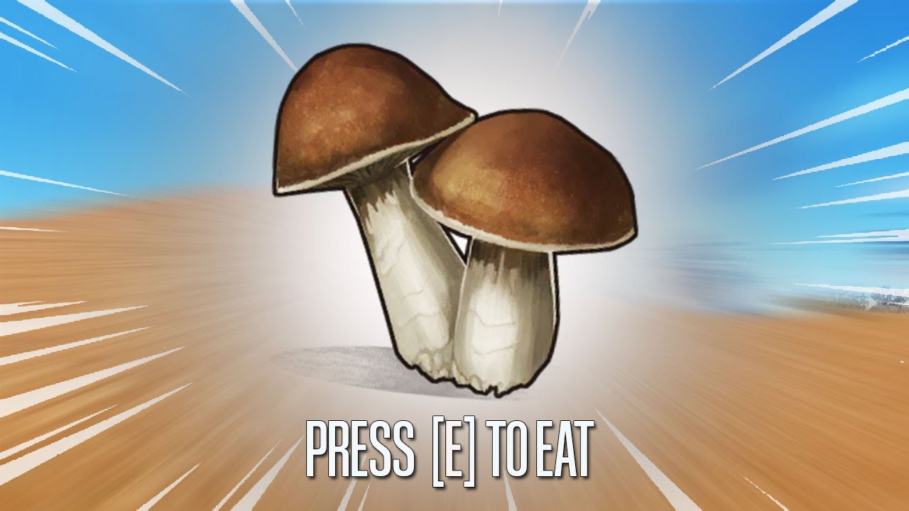 MY BRAIN AFTER EATING MUSHROOMS IN RUST YouTube