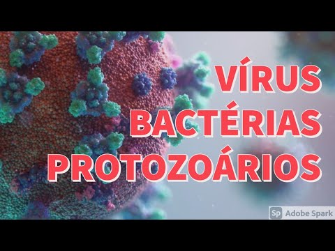 Vídeo: Diferença Entre Protozoários E Bactérias