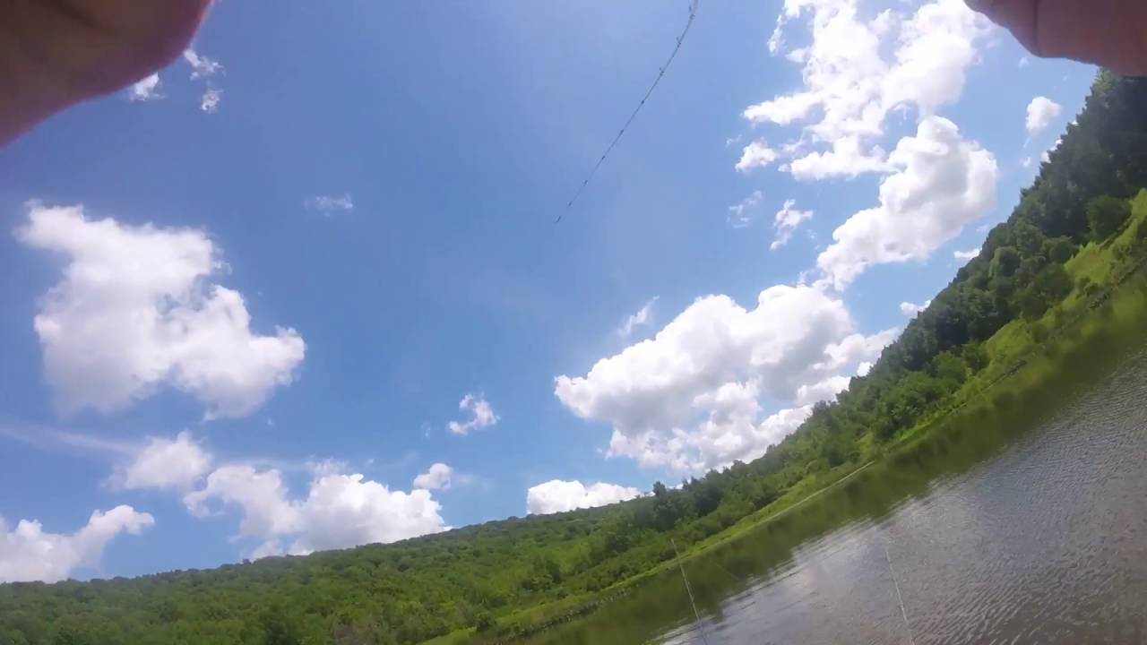 LiveTarget Frog BlowUps