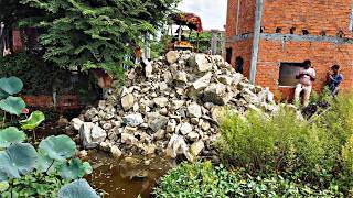 FIRST START A NEW PROJECT!! DELETE POND BY BULLDOZER KOMATSU D20P WITH 5 TON TRUCKS FIRST START A NEW PROJECT!! DELETE POND BY BULLDOZER KOMATSU D20P WITH 5 TON TRUCKS