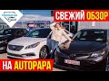 Свежий обзор авто из США в Грузии. Какие цены на авторынке Autopapa.