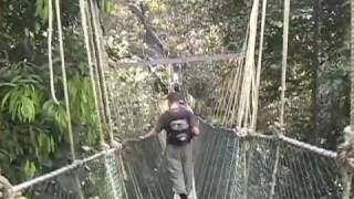 Taman Negara National Park, Malaysia