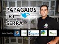 PEDRO SERRA  - CRIADOR DE PAPAGAIOS AFRICANOS!