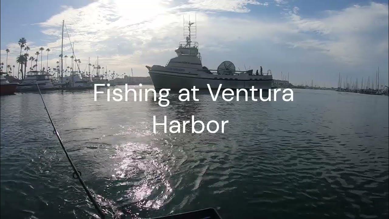 Fishing Ventura Harbor in a float tube YouTube