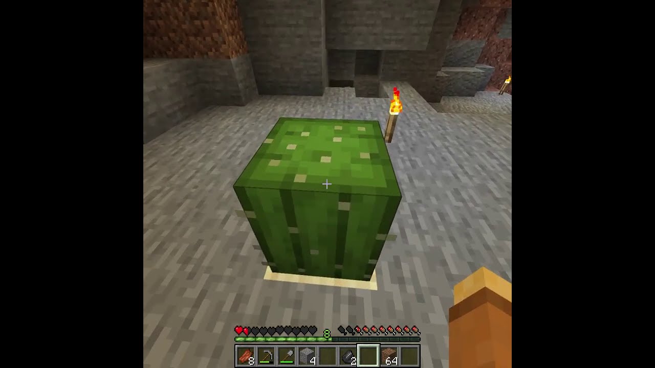 I died in the most unexpected way in Minecraft...