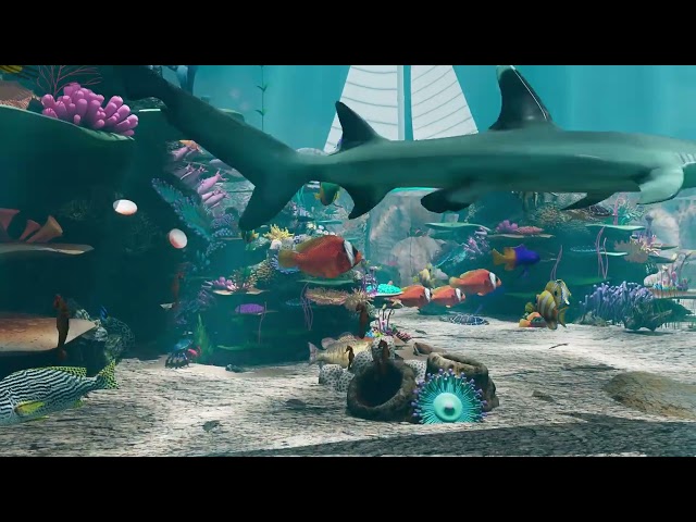 方體設計 - 海底動畫