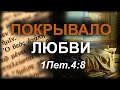 Покрывало любви 1Пет.4:8 | &quot;Библия на языке Иисуса&quot; | 14