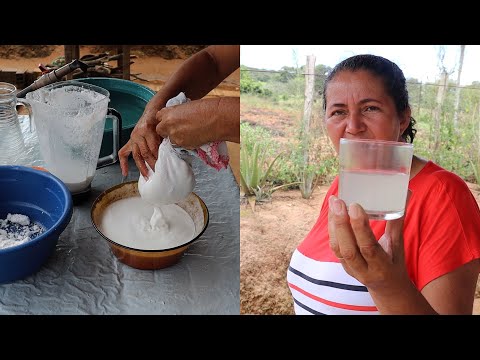 Vídeo: 3 maneiras de fazer óleo de coco puro