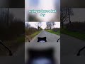 The pheasant was thinking the same thing as me … please notice me | POV