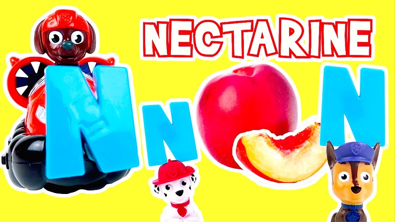 kids anka Paw Patrol Teach Kids the Letter N from the Alphabet
