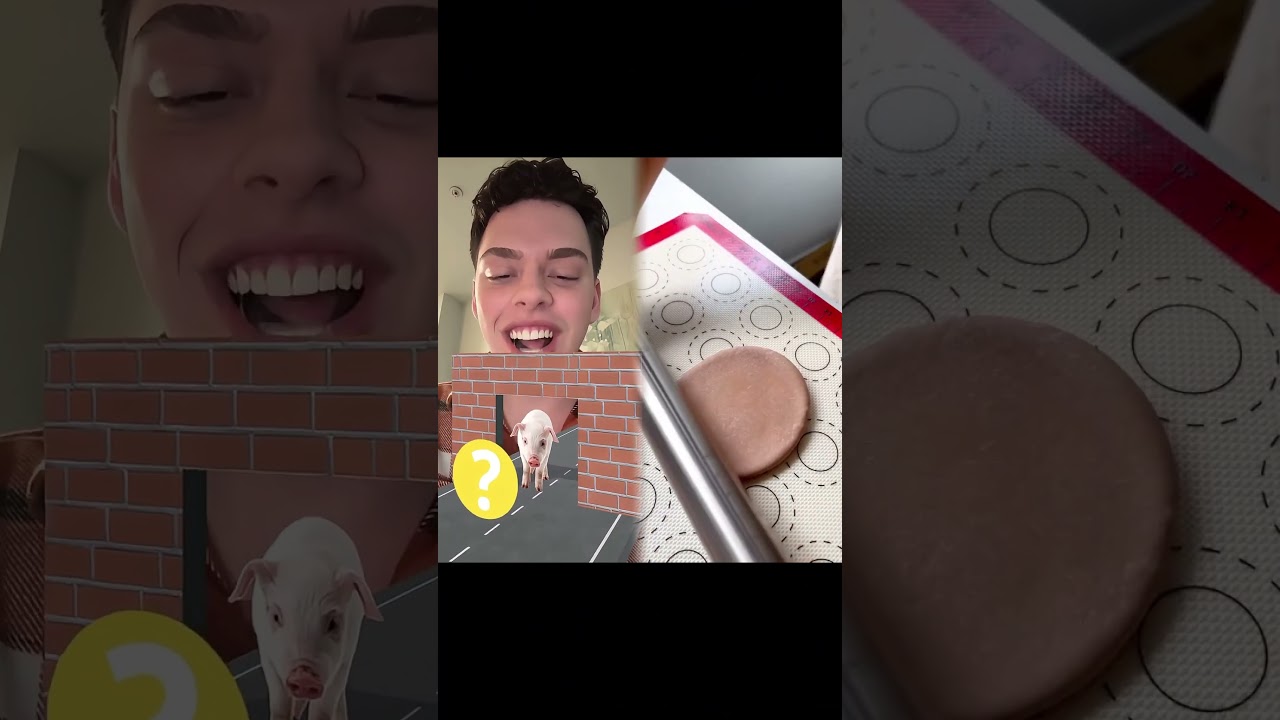 I dont understand how i didnt get the pig… 💀 