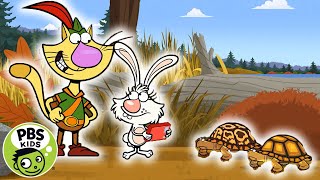 Nature Cat | Turtle Tunnel | PBS Kids