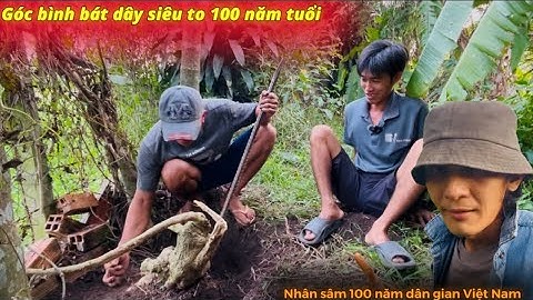 Độc lạ Việt Nam góc bình bát dây 100 năm tuổi siêu hiếm - Thái Salem vê lốc 