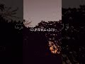 محمد اللحيدان سوره القصص