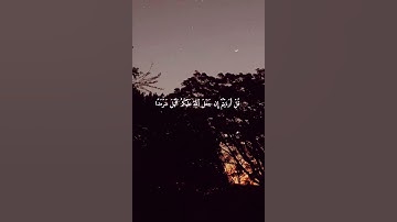 محمد اللحيدان سوره القصص