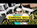 MY DREAM BALI VILLA - $390/Month - Canggu 2021(moved in, guesthouse tour) 🇲🇨Vlog 5